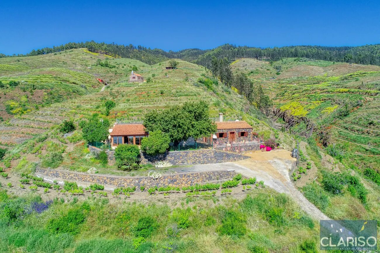 Casa El Algarrobo: Ferienhaus auf 1360 m über den Wolken in den Weinbergen von Puntagorda auf La Palma