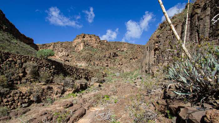 Blick in den Barranco de Tenegüime auf Lanzarote | © Sunhikes Blick in den Barranco de Tenegüime auf Lanzarote | © Sunhikes