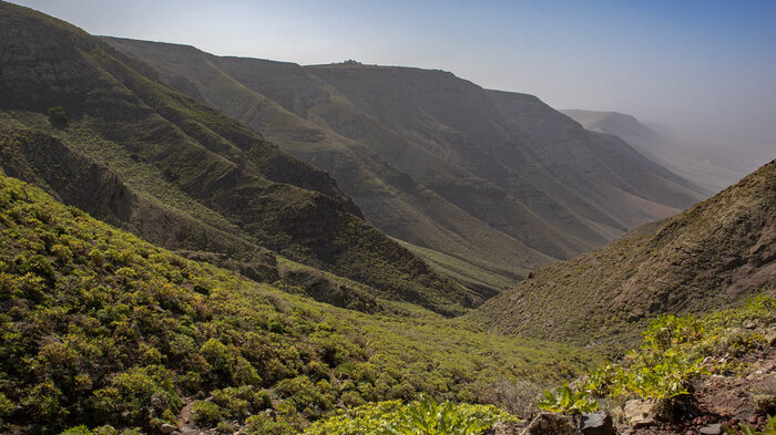 Blick in den Barranco de la Poceta auf Lanzarote | © Sunhikes Blick in den Barranco de la Poceta auf Lanzarote | © Sunhikes