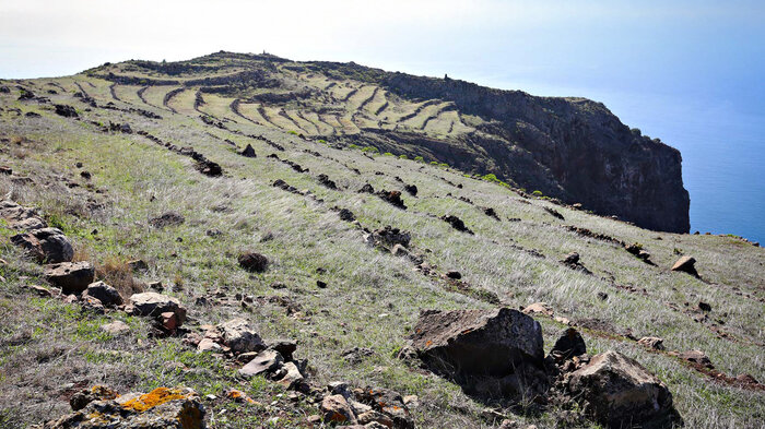 terrassierte Felder mit Schichtmauern auf der Hochebene Teno Alto auf Teneriffa | © Sunhikes terrassierte Felder mit Schichtmauern auf der Hochebene Teno Alto auf Teneriffa | © Sunhikes