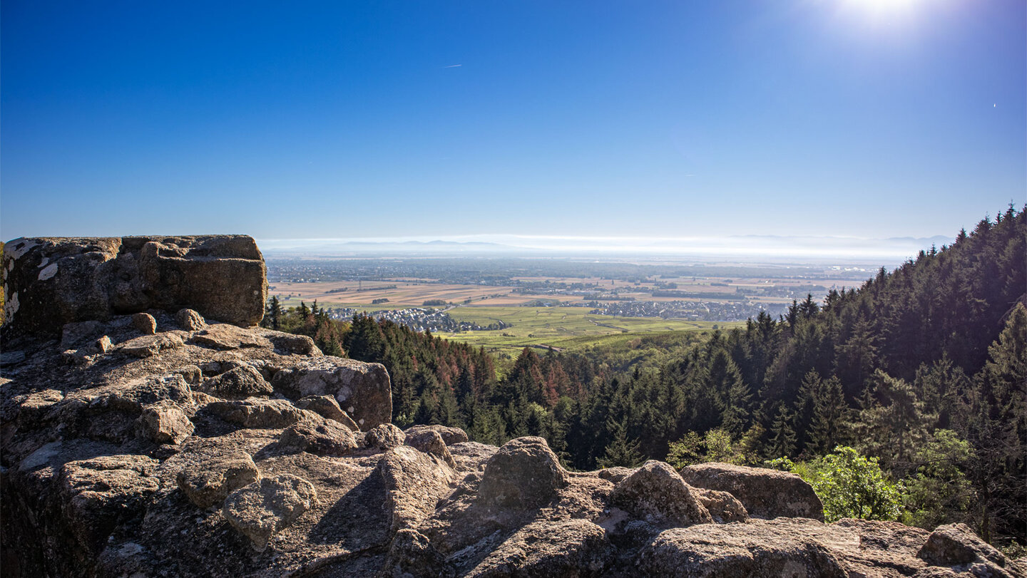 Aussicht vom Château du Hagueneck auf Nadelwald, Felder und Weinberge der Rheinebene bei Colmar