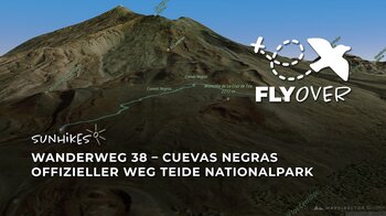 Im Tal der Lavahöhlen: Der offizielle Teneriffa Wanderweg 38 (Cuevas Negras) im 3D-Flyover