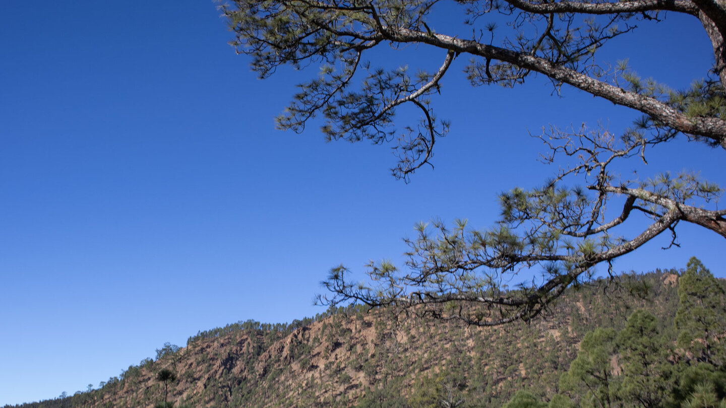 Höhenrücken aus rötlich gefärbten Gestein im Naturpark Corona Forestal