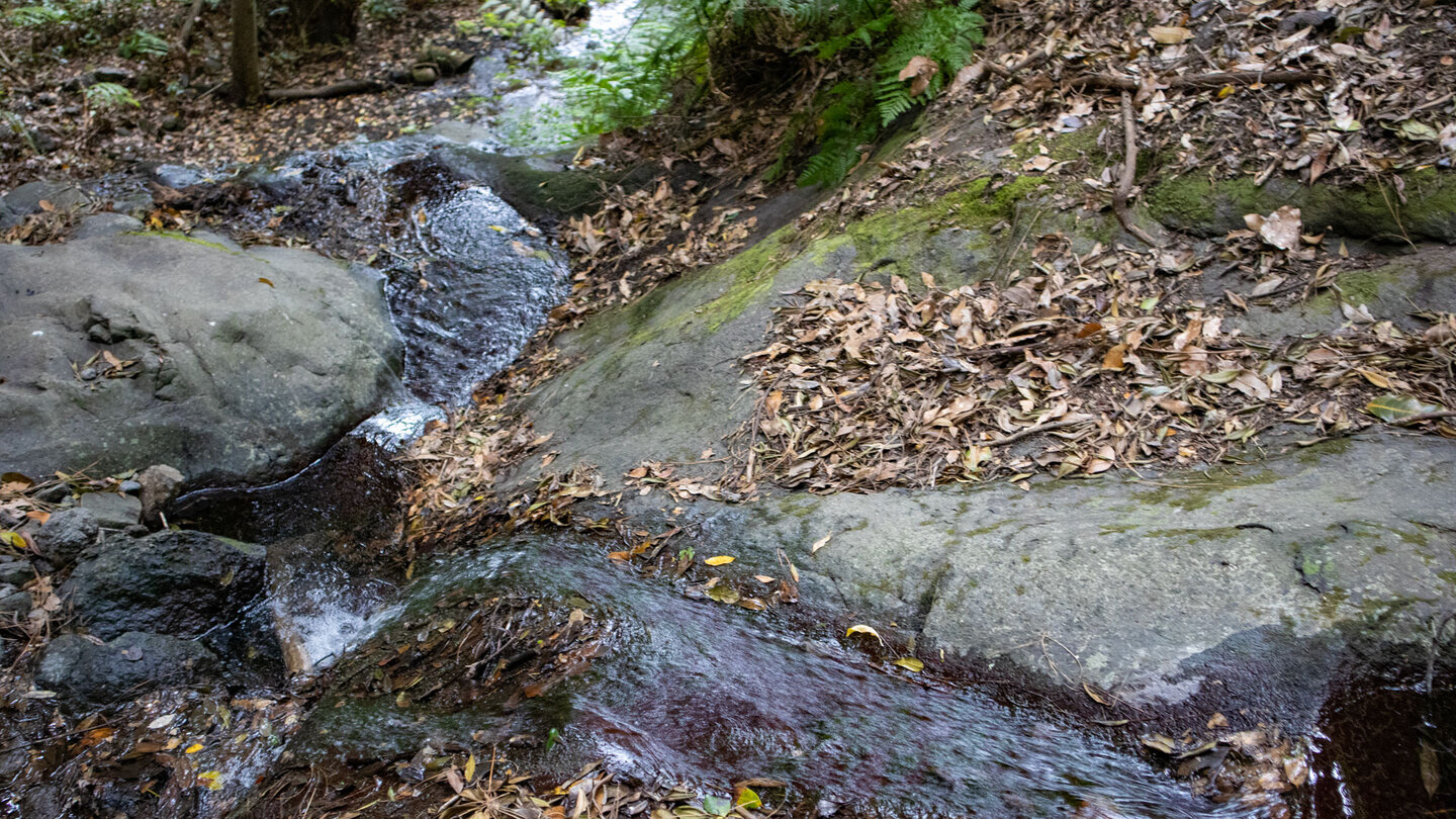 der Bach im Barranco del Rejo fällt über einen Felsvorsprung