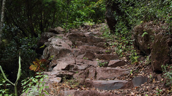 Wanderweg über Felsstufen zum Wasserfall El Cedro