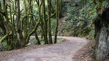 der gepflasterte Wanderweg Reventón Oscuro