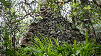 Ruinen aus Schichtmauern im Lorbeerwald