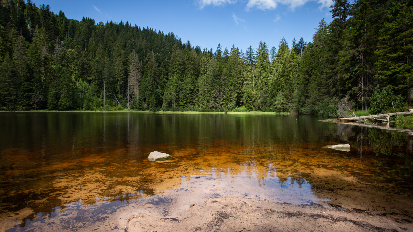 Wildsee in der Nähe des Ruhesteins