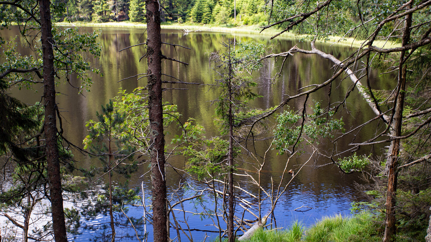 Wildsee im Nationalpark Schwarzwald