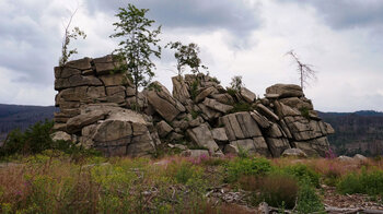 die Mäuseklippen im Harz