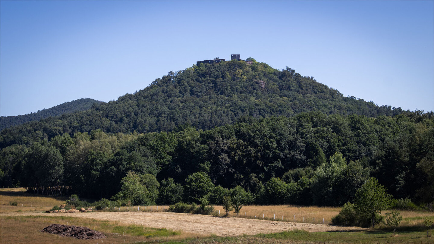 Der Blick zum Schlossberg, gekrönt von der Ruine Lindelbrunn.