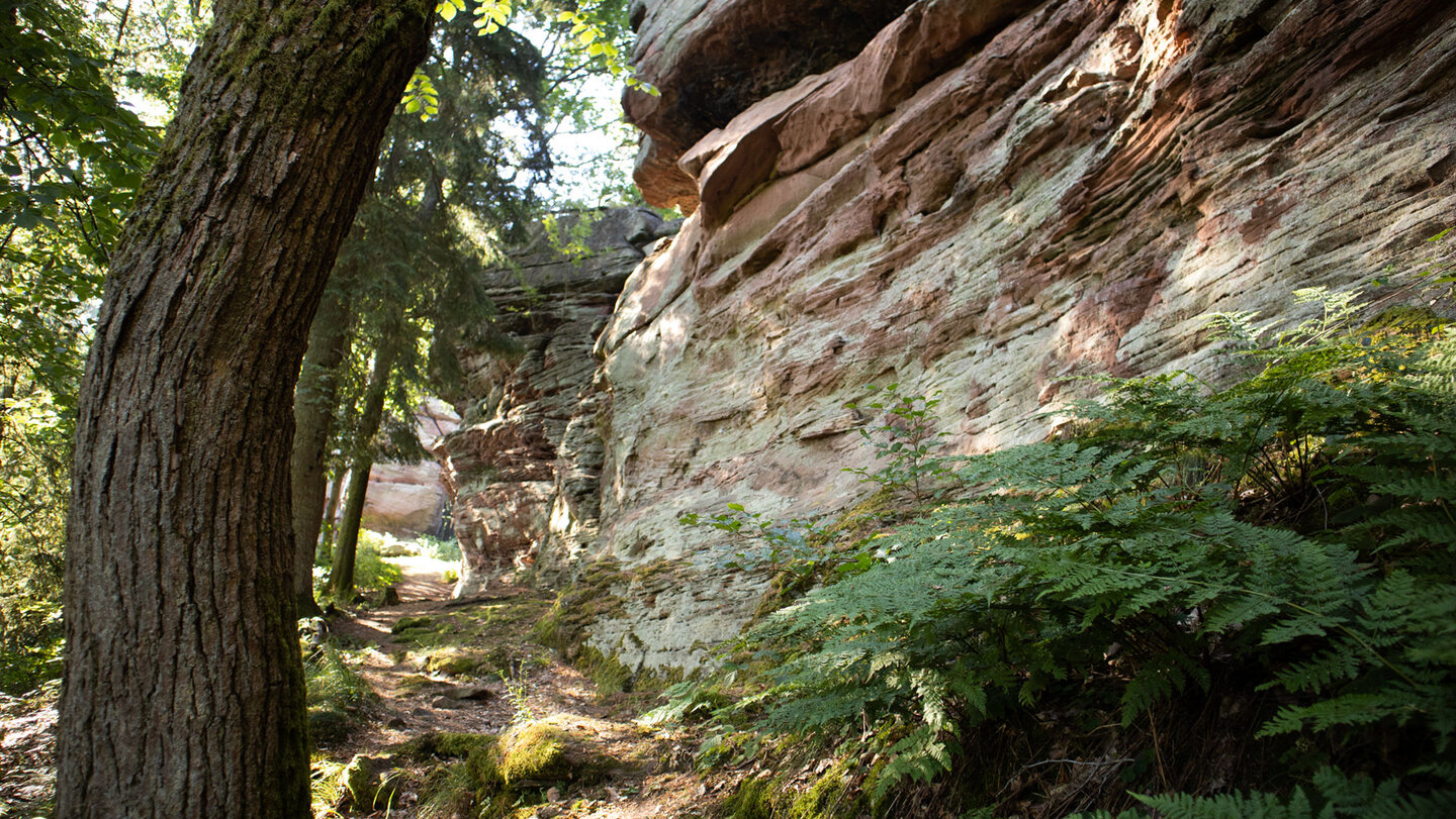 Wanderpfad entlang des Ostgrats der Buhlsteine.