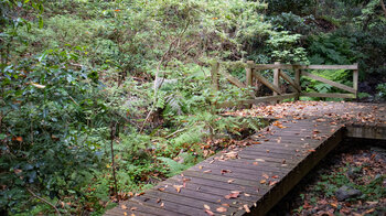 der Wanderweg 15 führt über Holzplattformen zu den Wasserfällen in der Rejo-Schlucht