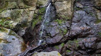 schmaler Wasserfall an einer Felswand im Barranco del Rejo