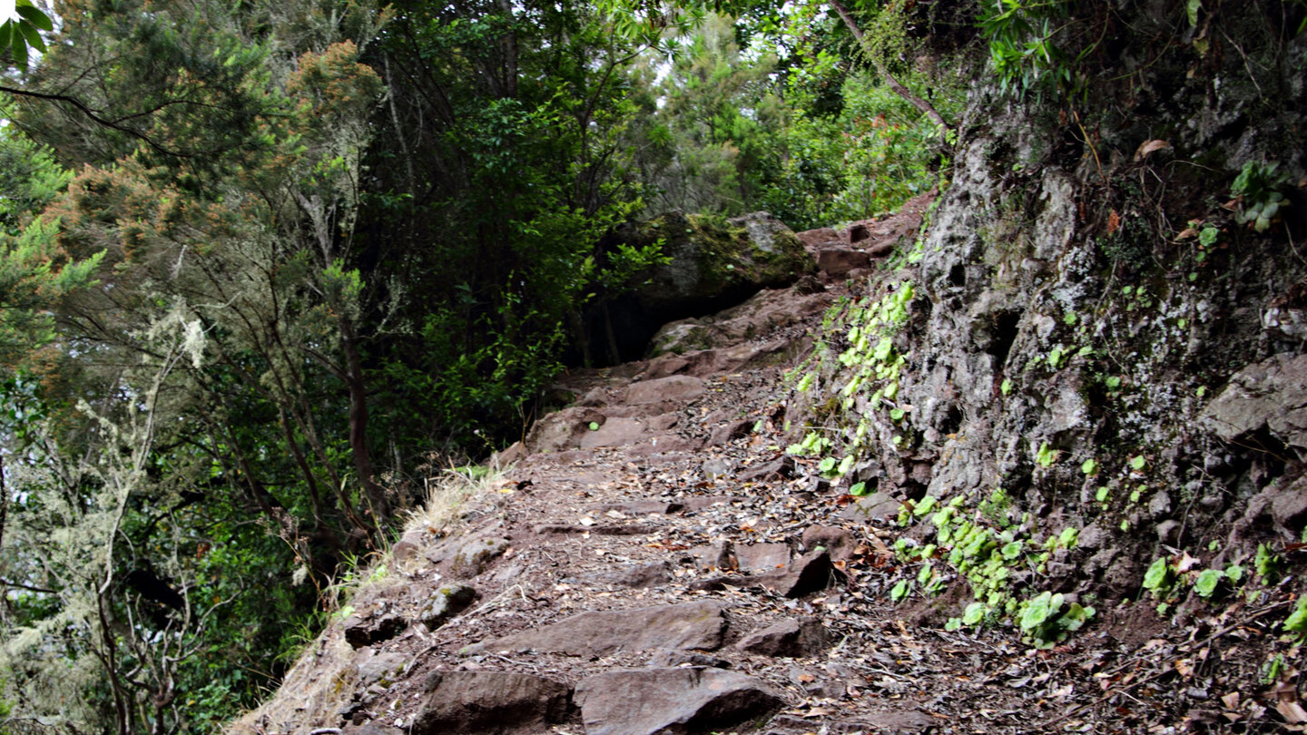 Wegabschnitt beim Wasserfall El Cedro