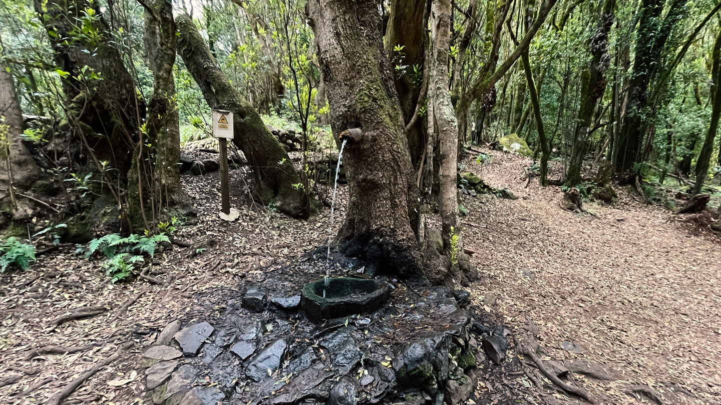 der lebende Baum ist ein Brunnen am Rastplatz bei der Ermita de Lourdes der lebende Baum ist ein Brunnen am Rastplatz bei der Ermita de Lourdes