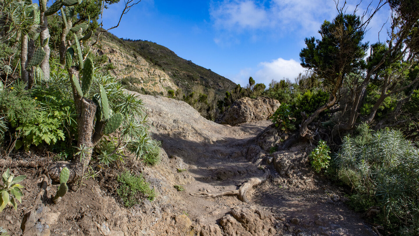 Wanderpfad beim Roque del Pilón | © ©SUNHIKES