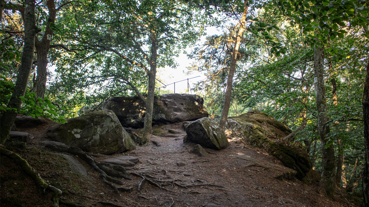 In den Fels geschlagene Stufen führen zum Aussichtspunkt Westfels hinauf.