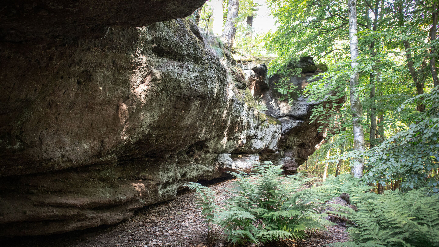 Ein langgezogenes Band aus Buntsandstein zieht sich am Gipfelplateau des Drachenfels entlang