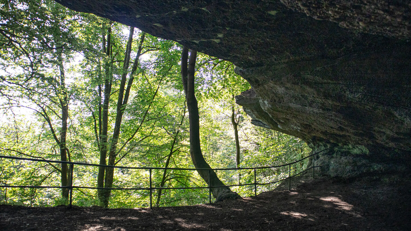 Blick aus Drachenhöhle in den grünen Pfälzerwald