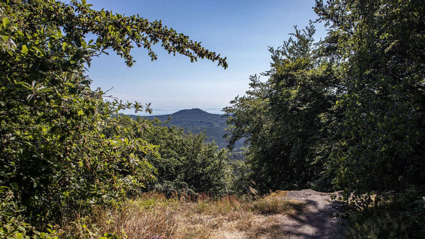 Ausblick vom Drachenfels bis in die Rheinebene