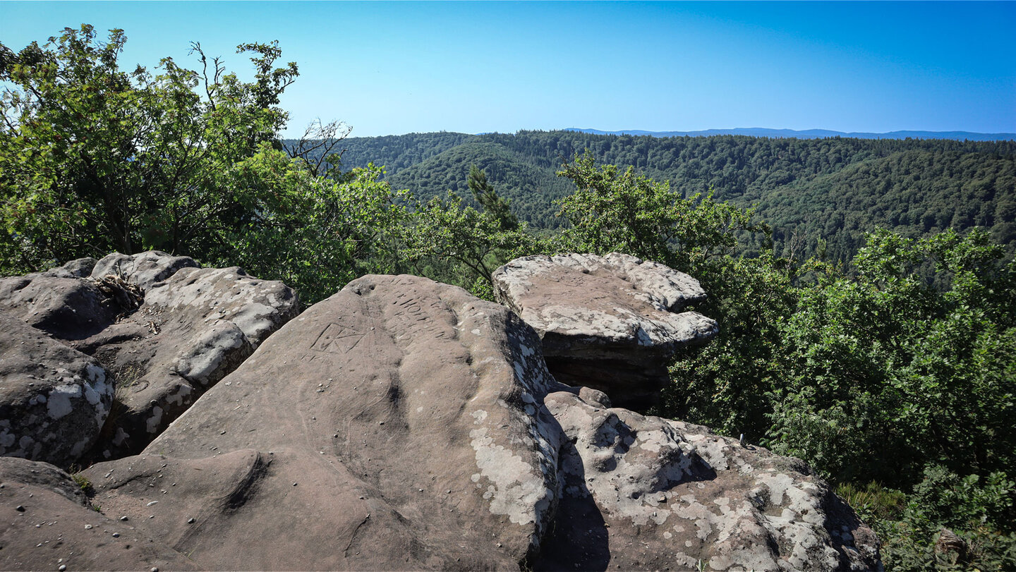 Vom Südfels aus öffnet sich ein 180-Grad-Panorama über das grüne Wäldermeer des Pfälzerwaldes
