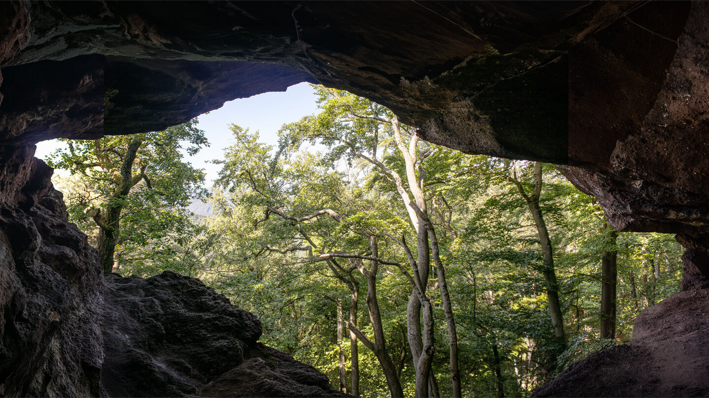 Von der Durchblickkammer blick man ins helle Grün des Pfälzerwaldes.