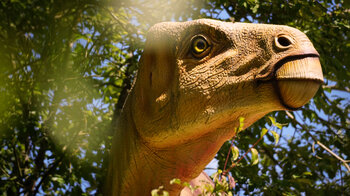 Saurier auf dem Rundweg durch den Dinosaurierpark Teufelsschlucht