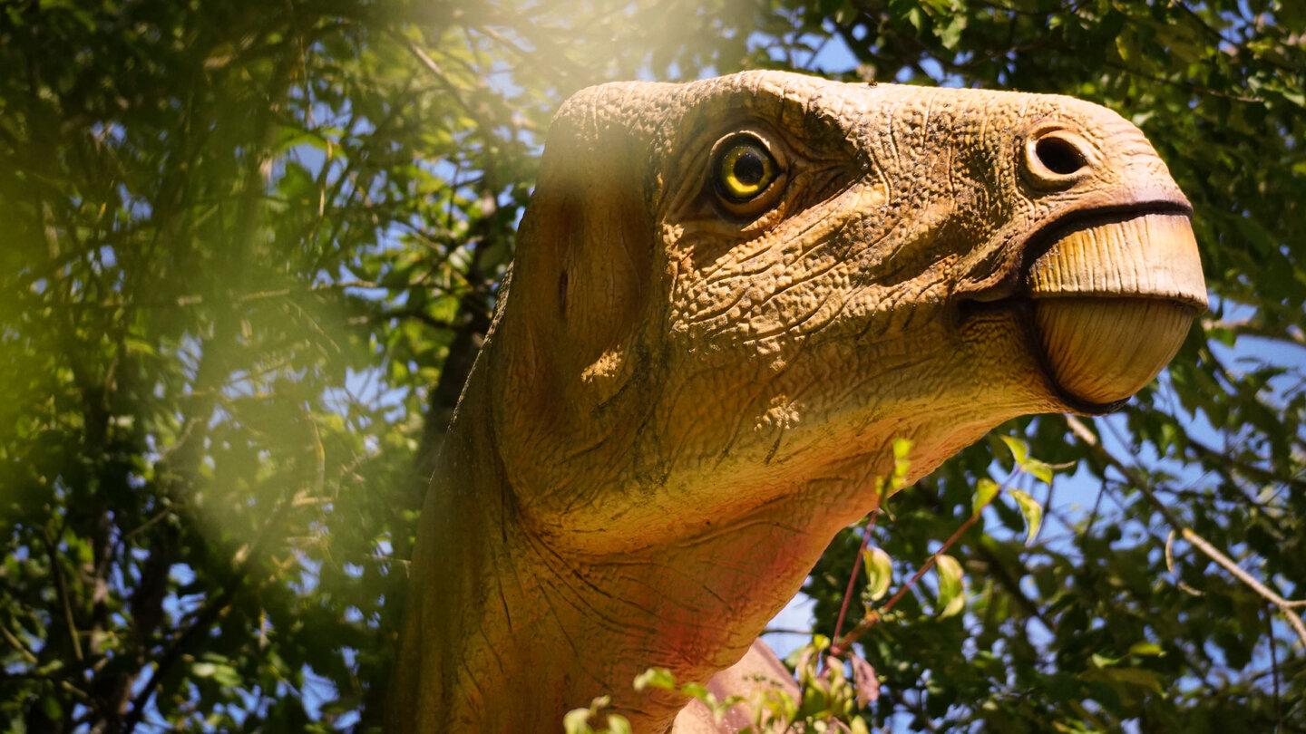 Saurier auf dem zwei Kilometer langen Rundweg durch den Dinosaurierpark Teufelsschlucht Saurier auf dem Rundweg durch den Dinosaurierpark Teufelsschlucht