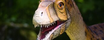 der Dinosaurierpark Teufelsschlucht bietet 170 Sauriermodelle zum Bestaunen