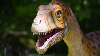 der Dinosaurierpark Teufelsschlucht bietet 170 Sauriermodelle zum Bestaunen