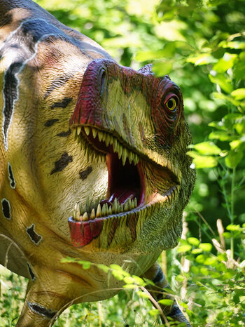 Nachbildungen im Dinosaurierpark Teufelsschlucht