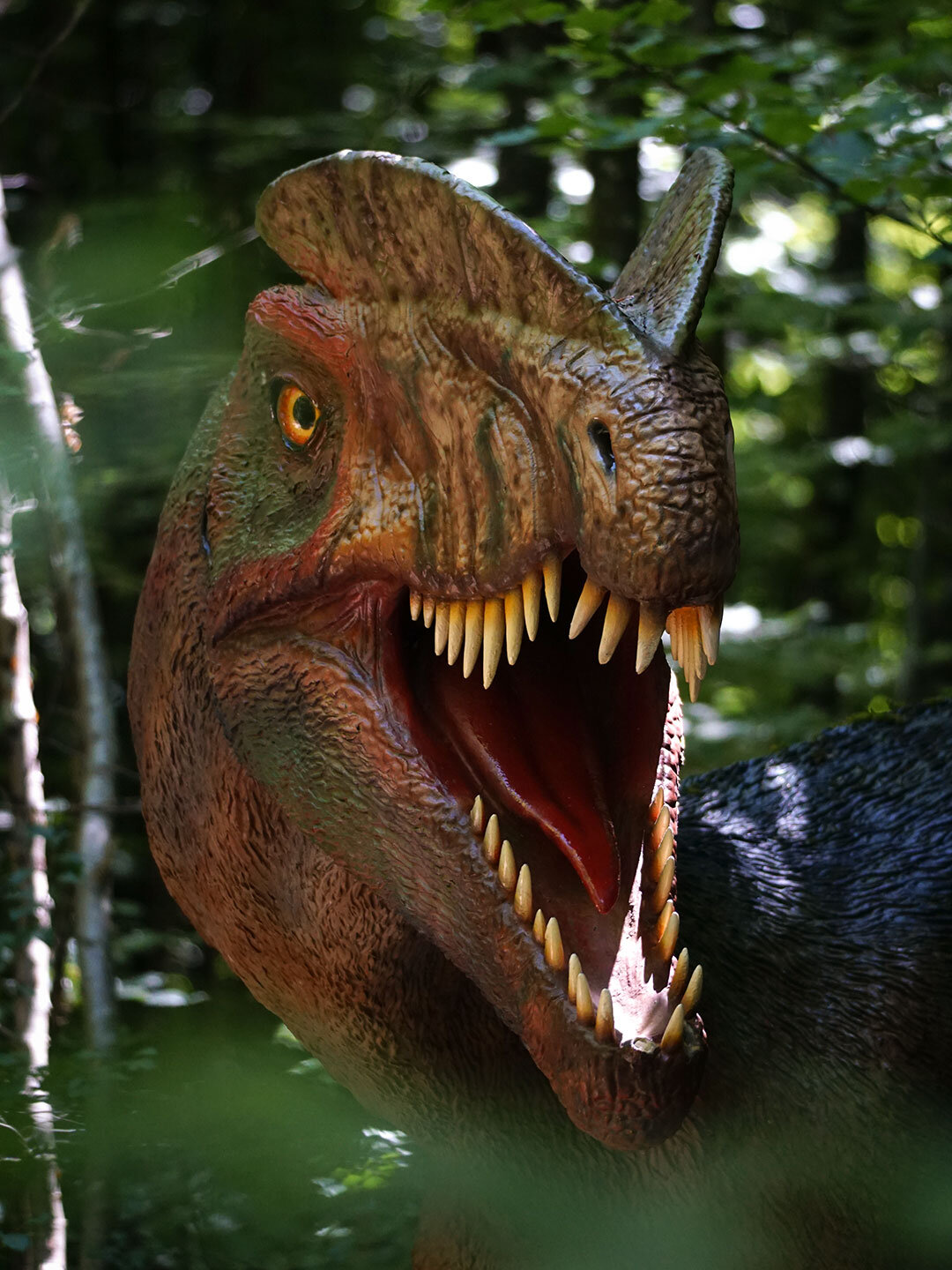 Sauriernachbildung im Dinosaurierpark Teufelsschlucht bei Ernzen in der Eifel Sauriernachbildung im Dinosaurierpark Teufelsschlucht in der Eifel
