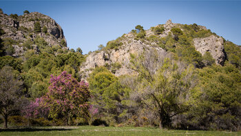 Ausblick auf der Wanderung beim Río Verde