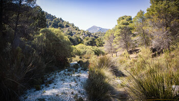 Wanderweg im Barranco de la Cueva Funes