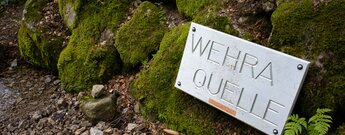 Schild an der Wehraquelle zwischen Todtmoos und Bernau im Schwarzwald