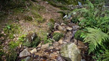 von der steingefassten Wehraquelle macht sich das Wasser auf den Weg