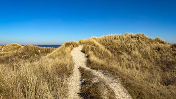 ostfriesische Küstenlandschaft auf Langeoog