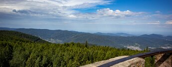 Schwarzwaldpanorama vom Hohlohturm