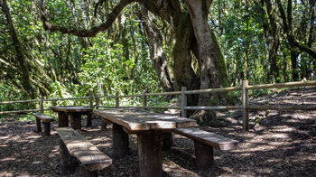 Ausgangspunkt der Wanderung ist der Rastplatz Raso de la Bruma