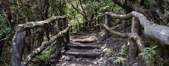 malerischer Weg zum Aussichtspunkt Risquillos de Corgo