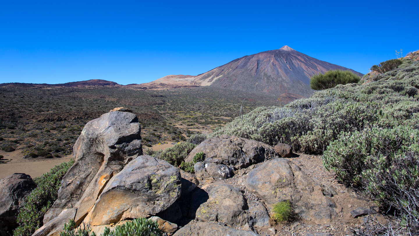 Ausblick von der Passhöhe Degollada del Cedro auf Teide, den hellen Montaña Blanca und Montaña Rajada | © ©SUNHIKES Ausblick von der Passhöhe Degollada del Cedro auf den Teide | © ©SUNHIKES