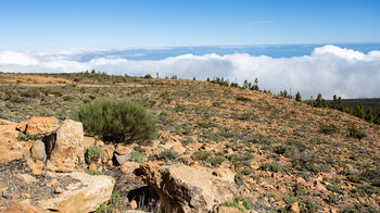 Bergflanke des La Fortaleza vom Wanderweg 29 | © ©SUNHIKES