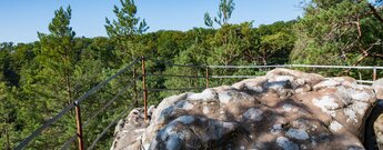 der Christkindelsfels bei Eppenbrunn ist ein Aussichtspunkt im Pfälzerwald