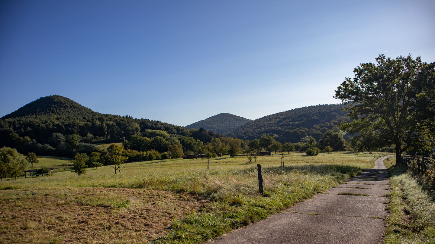 Wanderweg durch Wiesen oberhalb Nothweiler