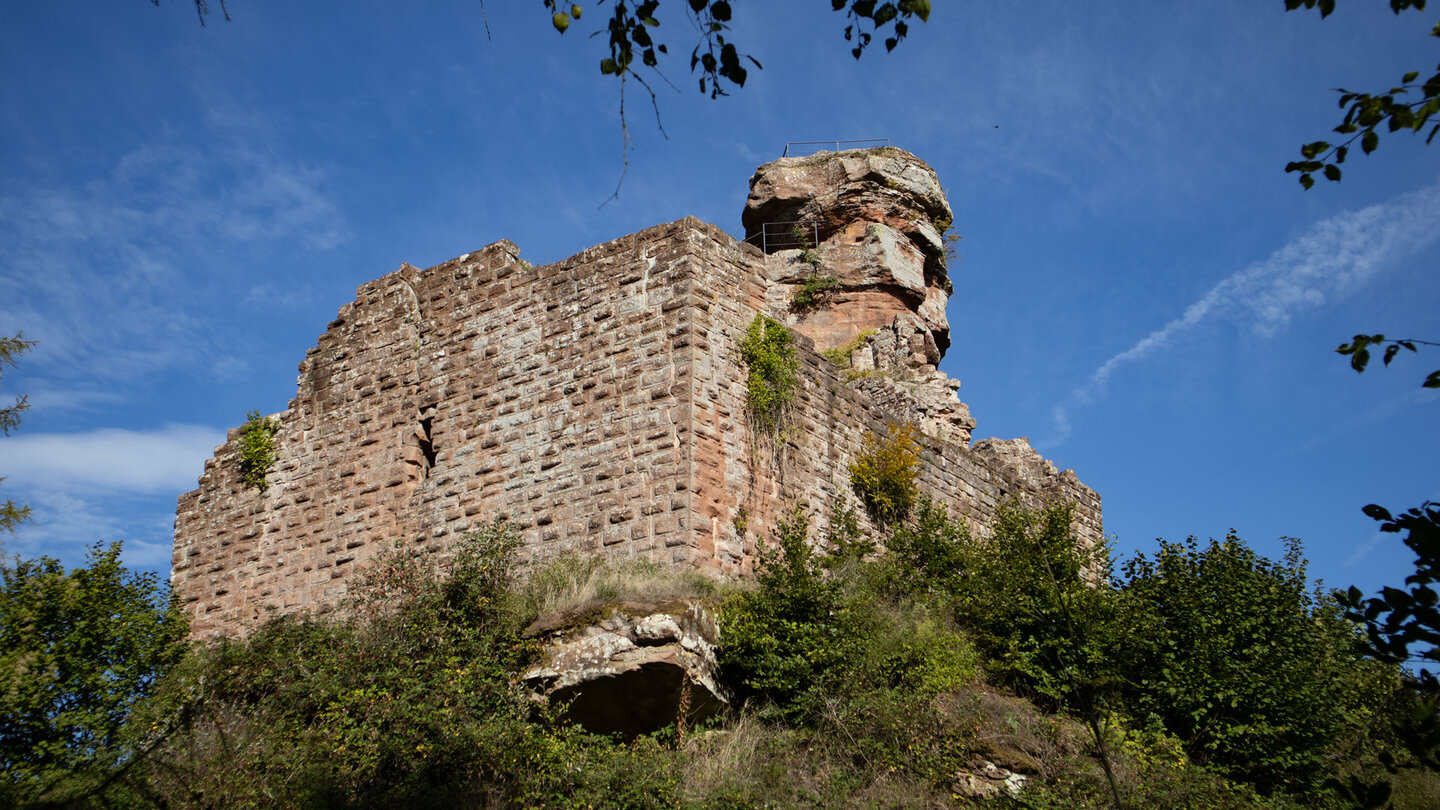 die Ruine Hohenbourg vom Wanderweg