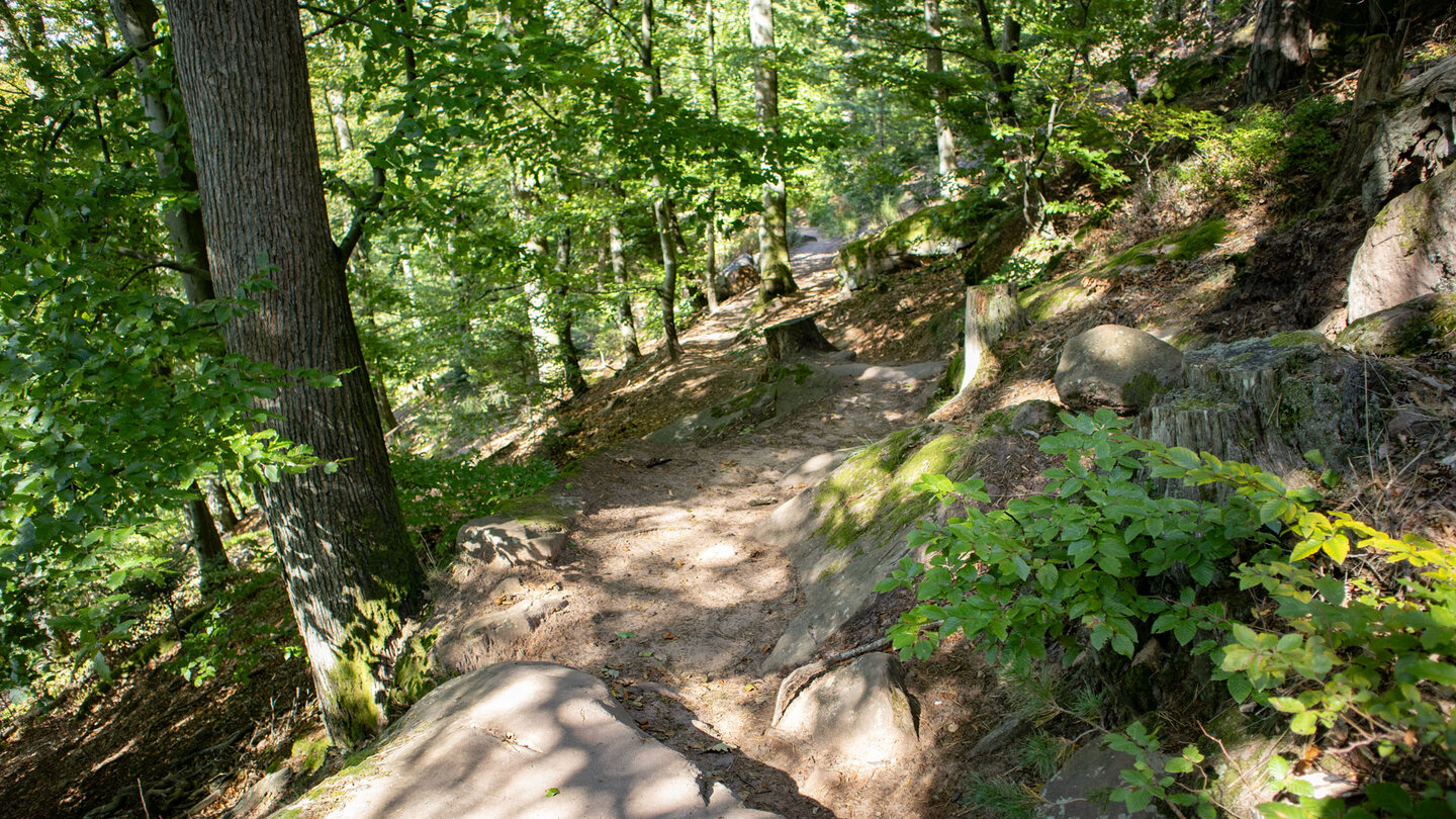 Wanderweg zum Col de Hohenbourg