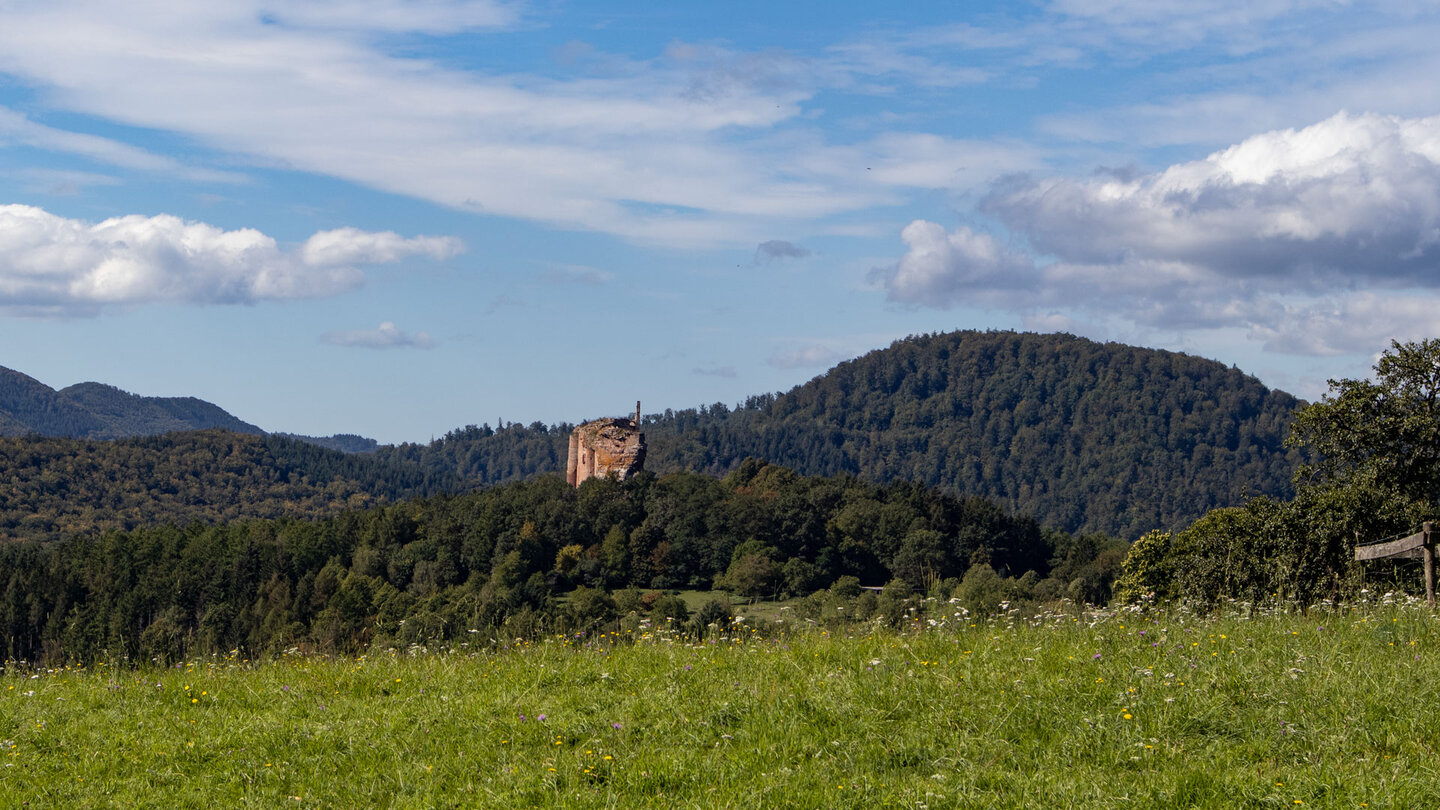 von den Wiesenflächen am Gimbelhof blickt man bis zur Burg Fleckenstein