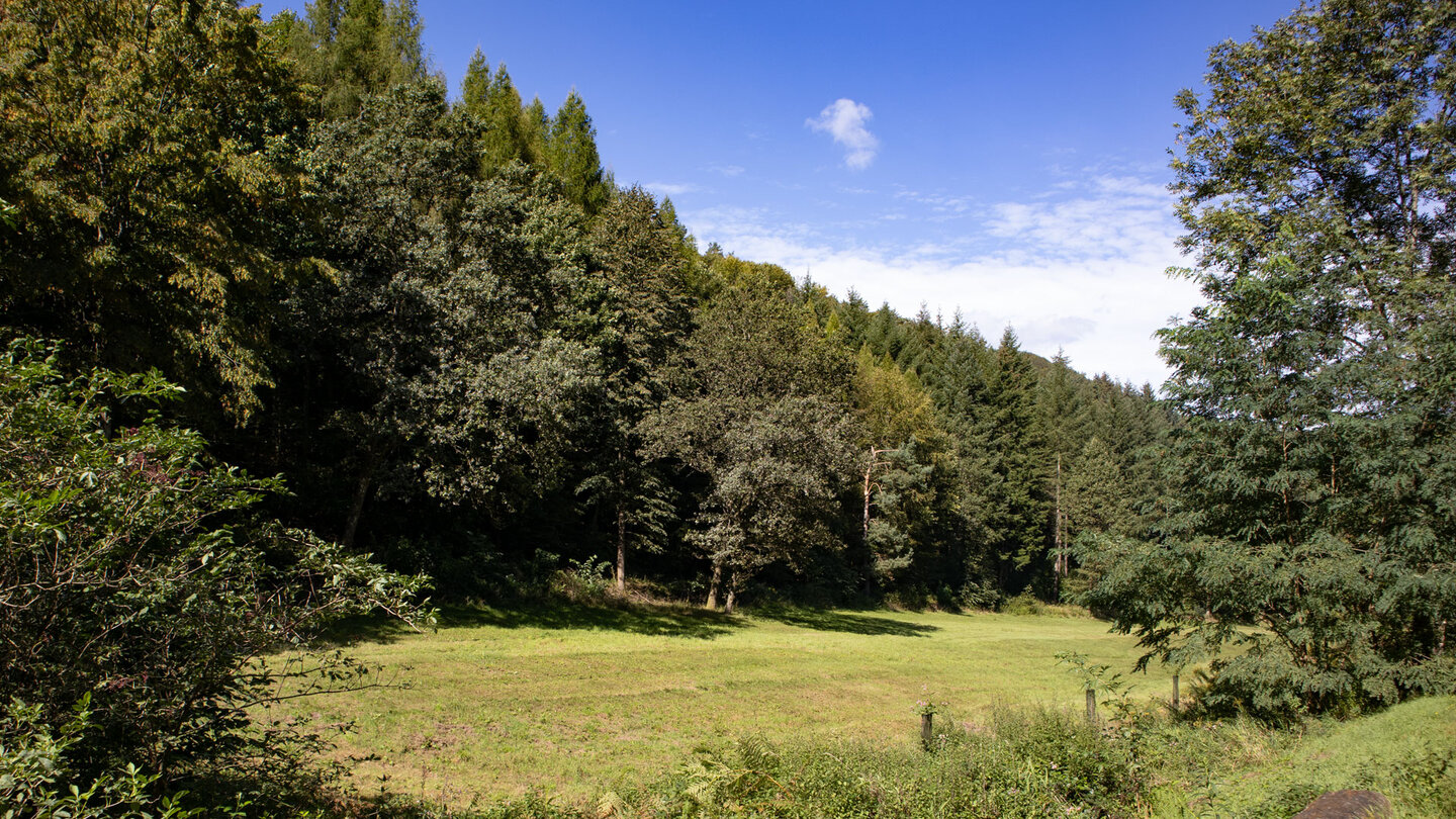 Rückweg durchs Litschbachtal nach Nothweiler