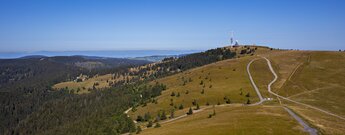 Blick zum Gipfel des Feldberg vom Feldbergturm